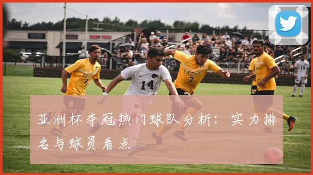 亚洲杯夺冠热门球队分析:实力排名与球员看点