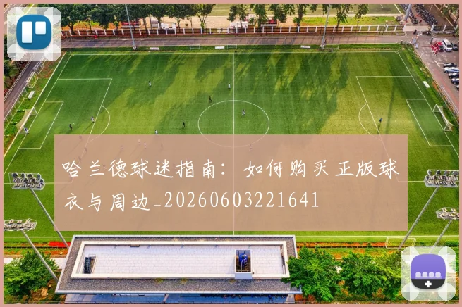 哈兰德球迷指南:如何购买正版球衣与周边_20260603221641