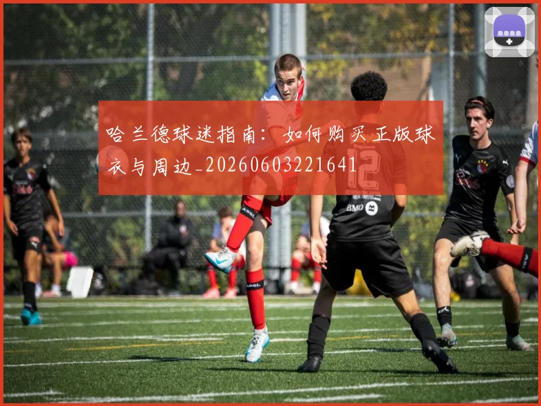 哈兰德球迷指南:如何购买正版球衣与周边_20260603221641